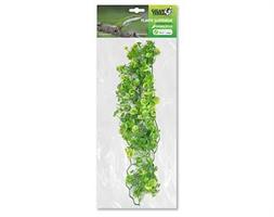 Hydrocotyle Large 56cm