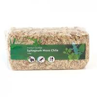 Sphagnum Moss - 150g - Premium Chile