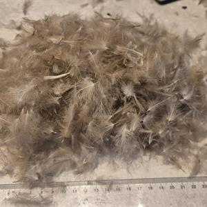 Bruks Cdc-mayfly- Natur 5g