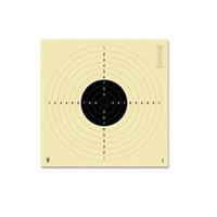 PISTOLTAVLA 55 x 52cm