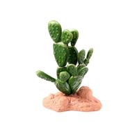 Reptile Nova - Cactus 15cm