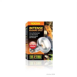 Exo Terra Intense Basking Spot 100 W