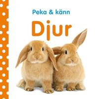 Peka och känn : Djur