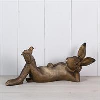 Hare liggande på rygg