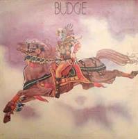 BUDGIE-Budgie