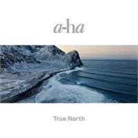 a-ha-True North
