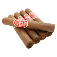 Blend 15 Robusto 15p