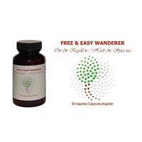 Free and Easy Wanderer