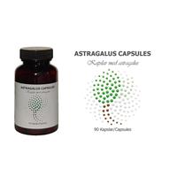 Astragalus capsules