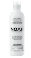 Noah 2.1 Nourishing Conditioner With Mango And Ric