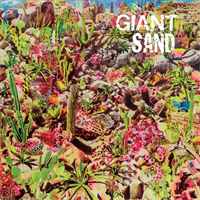 Giant Sand-Return To The Valley Of Rain(LTD)