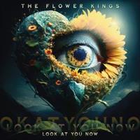 The Flower Kings-LOOK AT YOU NOW(LTD)
