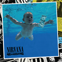 Nirvana-Nevermind(LTD Box)