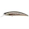 DUO Spearhead Ryuki 70S 9g Brown Trout ND