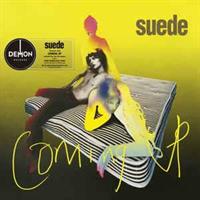 Suede ‎– Coming Up(LTD)