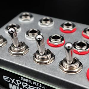 Expression Multiplier