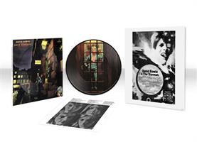 David Bowie-Rise And Fall Of Ziggy(LTD PD)