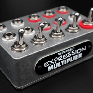 Expression Multiplier