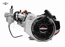 Briggs & Stratton World Formula Motor 