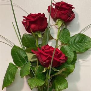 20 röda rosor med grönt 