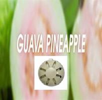Fan-Y refill Guava/Ananas