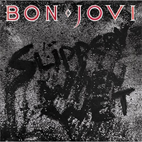 Bon Jovi-Slippery when wet