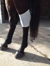 Icesocks 2-pack