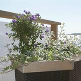 Havsfjärden - skir blomsterdekor i skyddat läge vid vindnät,.. vit 90%