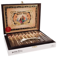 Bellas Artes Maduro Toro 1x20