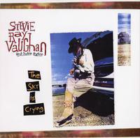 Stevie Ray Vaughan-The Sky Is Crying (Analogue Pro.)