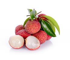 Lychee 24x567g