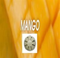 Fan-Y refill Mango