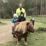 Gårdskarlen Lars, drängarna Siri och Noel och vår egensinniga shetlandsponny Julia-Viol