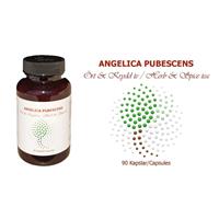 Angelica Pubescens