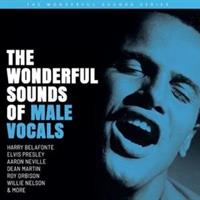 WONDERFUL SOUND OF MALE VOCALS(Analogue Productions)