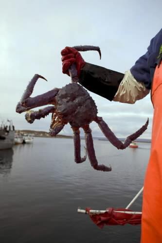 License: Norwegian Seafood Council