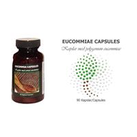 Eucommia capsules