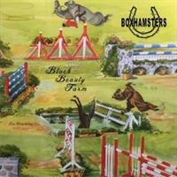 Boxhamsters-Black Beauty Farm