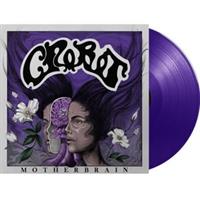 CROBOT-Motherbrain(LTD)