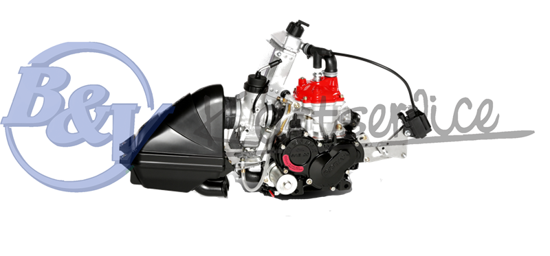 Rotax Max 125 Evo Komplett motor pakke