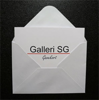 Galleri SG