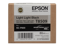 EPSON Light Light Black 80 ml SC-P800