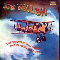 Joe Walsh-The Smoker You Drink, The...(Analogue Productions)