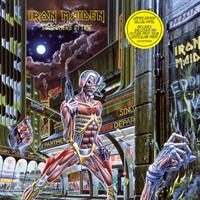 Iron Maiden-SOMEWHERE IN TIME(LTD)