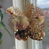 Liten skyddsängel i guld med blonda flätor - 100 Kr , klicka för beställning!