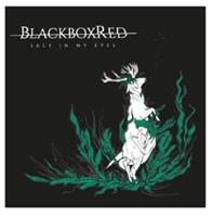 BLACKBOXRED-SALT IN MY EYES(LTD)