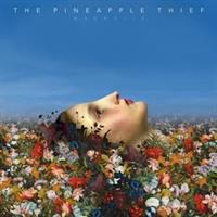 The Pineapple Thief-Magnolia