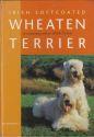 Irish Softcoated Wheaten Terrier
