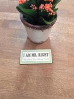 Magnet: I am mr. Right My wife is mrs. Always righ