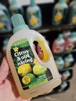 Citrus- och Olivnäring HORNUM 350ml